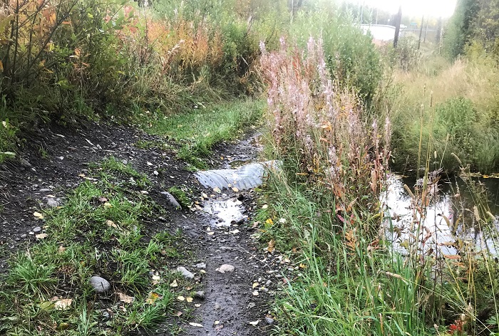 Lucille St culvert damaged