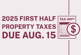 Property Taxes