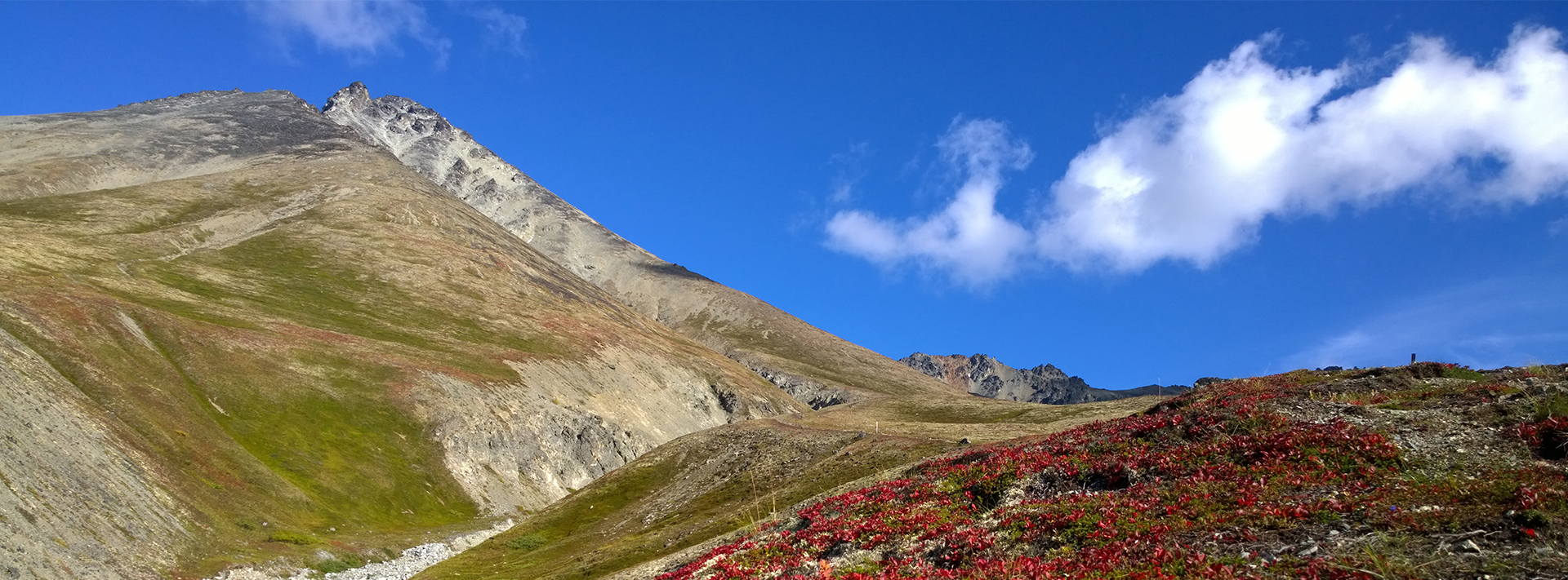 Mat-Peak Color
